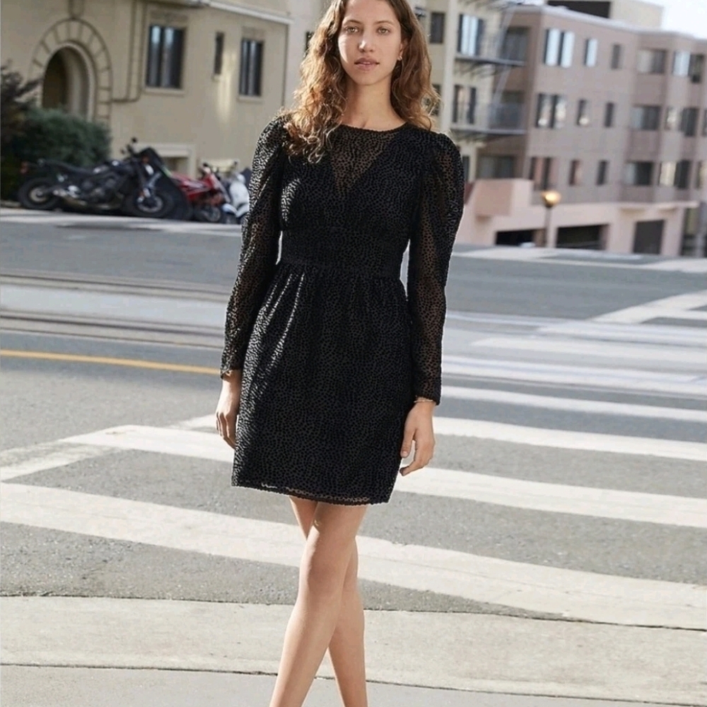 Express • Black Velvet Polka Dot Dress - Picture 3 of 12
